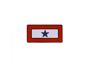 Blue Star Service lapel pin- horizontal