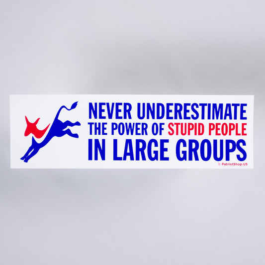 Never underestimate the power of stupid people in large groups sticker