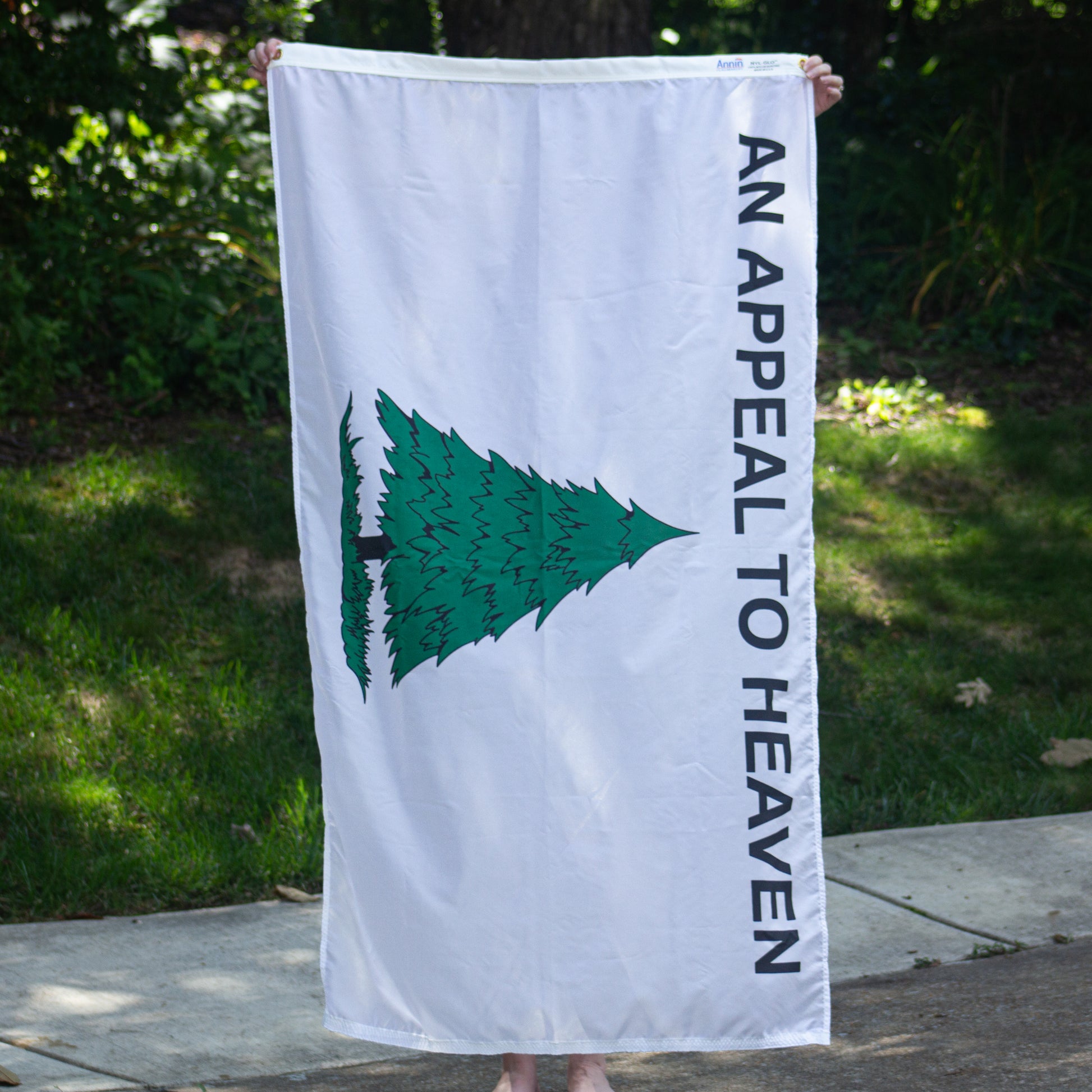 An Appeal to Heaven flag - 3'x5' 100% nylon - Made in the USA