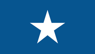 Bonnie Blue flag