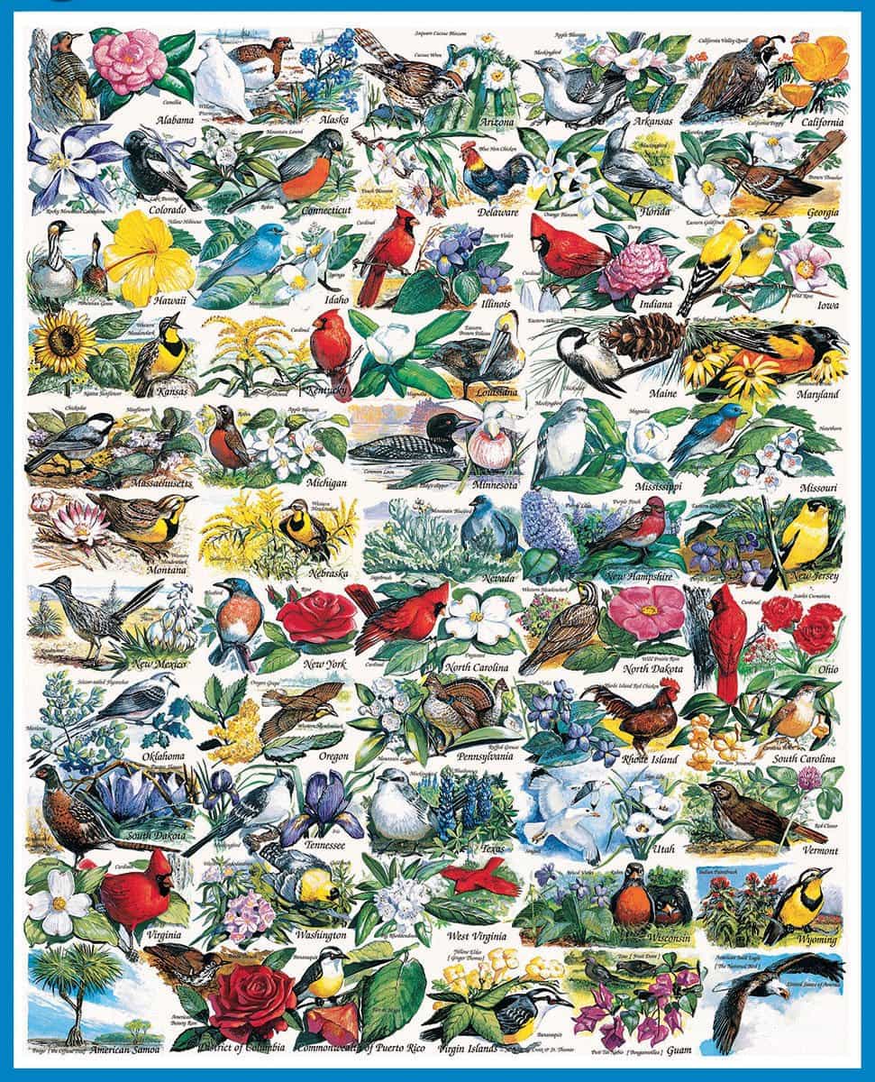 State Birds and Flowers puzzle
