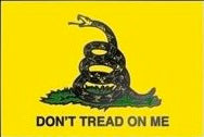 Gadsden Flag lapel pin