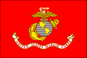 Marine flag - nylon