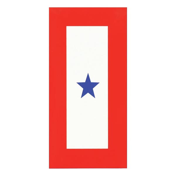 Blue Star Service decal