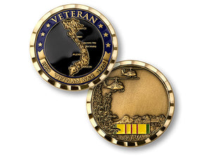 Vietnam Veteran coin - enamel
